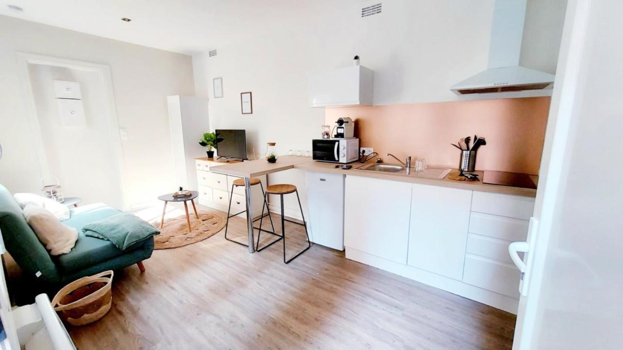 Cosy Yucca - 1Ch - Quartier Des Halles & Parking Pau Esterno foto